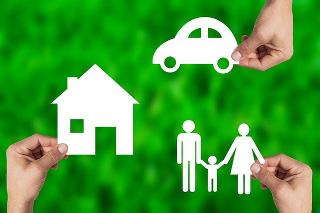 pojištění rodiny, domu a auta