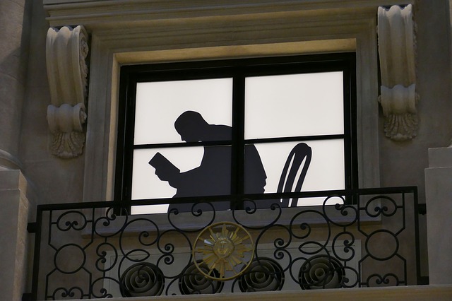 čtenář za oknem